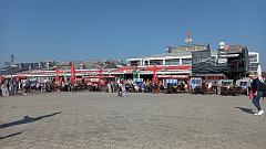 Sylt (98)
